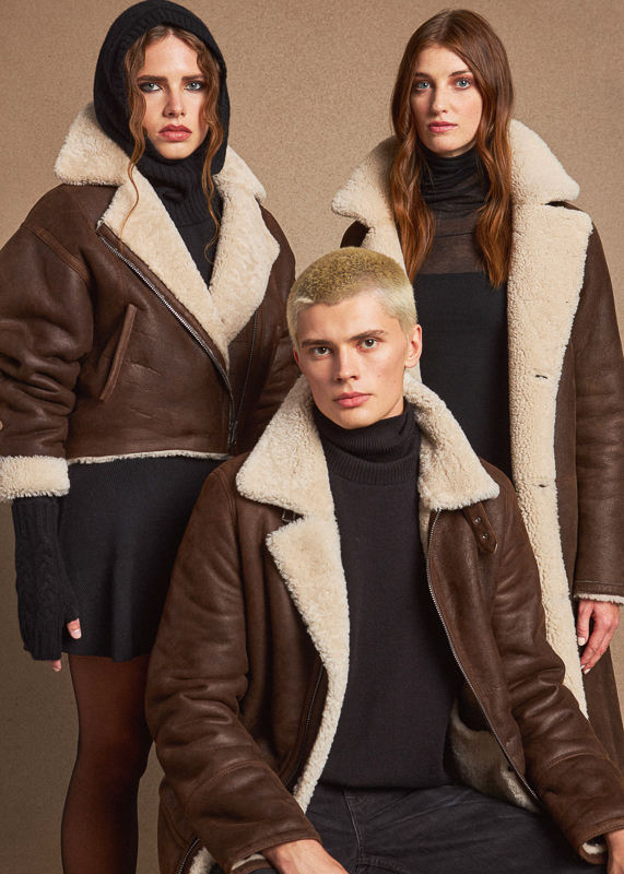 Arabica-brown-story_202415134