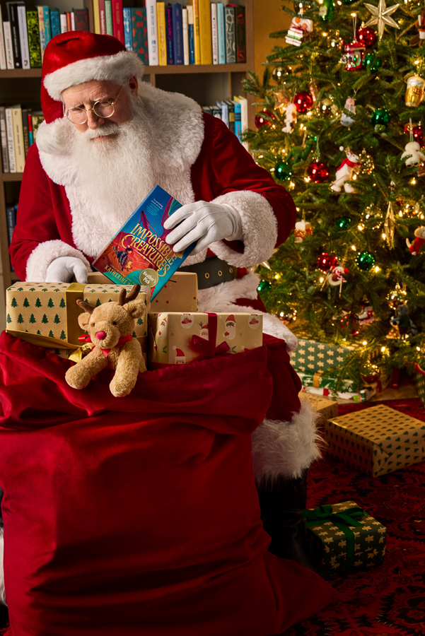 FY25_HOL_PICKUPDAY_2024_SantaShopsHere_GiftsUnderTree_00617_no bow